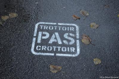 Trottoir pas crottoir pochoir contre dejection chien marquage au sol marq9832